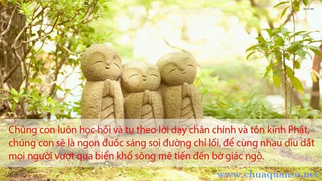 8 điều tôn kính Phật
